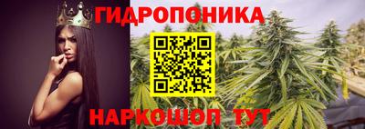 мдпв Берёзовский