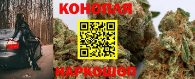 PSILOCYBIN Бийск