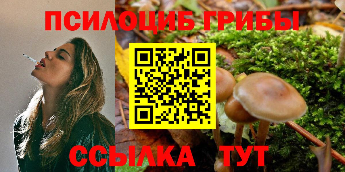 Каспийск  Псилоцибиновые грибы MAGIC MUSHROOMS  Вход с VPN 