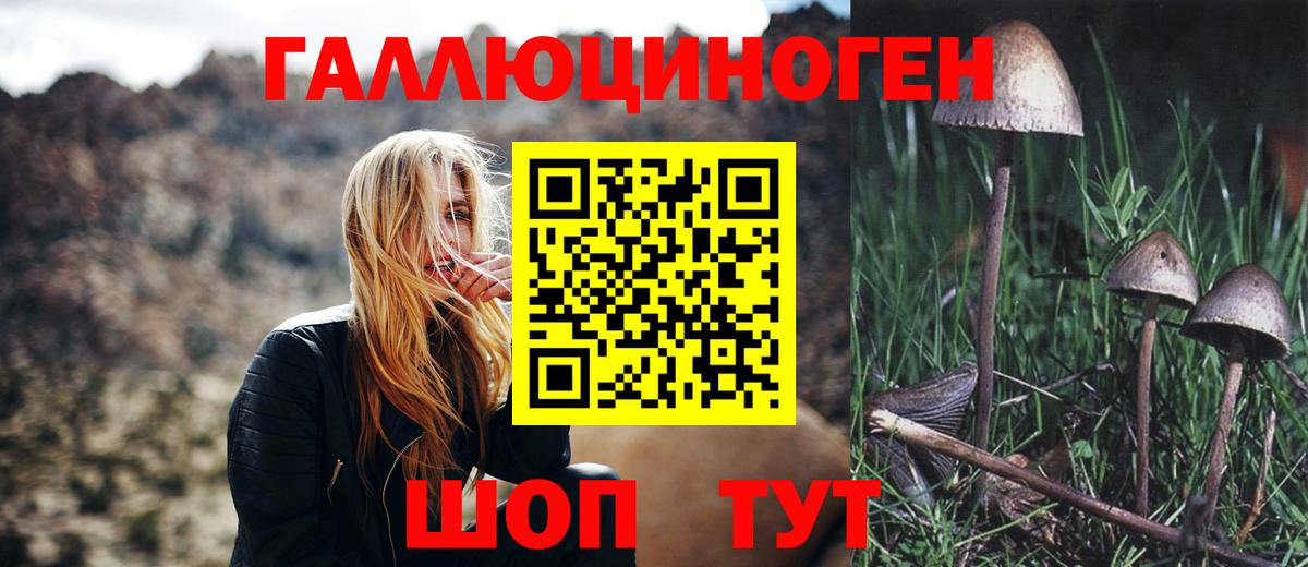 Галлюциногенные грибы прущие грибы Каспийск